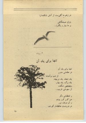 کتاب جمعه سال اول شماره ۳۶ صفحه ۲۵